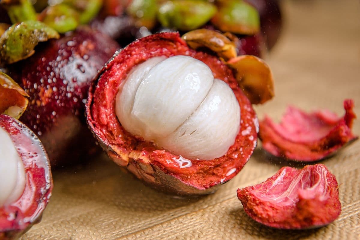 Mangosteen: The Queen of Fruits and Its Organic Farming Journey